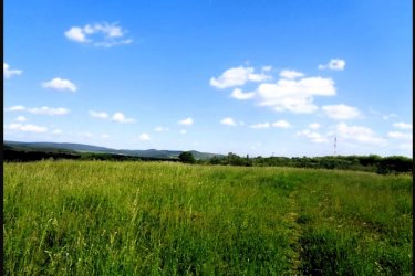 Eladásra kínálok Vácon a Felső török hegyen 48.114 m2-es mezőgazdasági területet.

A zártkerti mezőgazdasági terület MÁ, általános mezőgazdasági övezetbe tartozik, 3 helyrajzi számon 10. 686 m2 (szántó), 9.909 m2 (szántó) valamint 27.519 m2 (erdő) egymás mellett helyezkedik el, tehermentes, a földtörvény hatálya alá esik vagyis ki kell függeszteni.
1/ A 10.686 m2-es szántó szélessége: 50 méter és hosszúsága: 210 méter.
2/ A 9.909 m2-es szántó szélessége: 51 méter és hosszúsága: 191 méter.
3/ A 27.519 m2-es erdő szélessége: 170 méter és hosszúsága: 162 méter.
A mezőgazdasági területet Vác Felső Török hegyen található, kiváló elhelyezkedése miatt, egyéb más célú hasznosításra is alkalmas lehet, mint például ipari park, logisztikai park, esetleg lakópark létesítésére.
A telek, panorámás részen helyezkedik el, az M2 autóút könnyedén elérhető!
A földeket jelenleg művelik, de a mellette lévő területeket viszont már átminősítették lakóövezetté és ipari tevékenységre is.
A telek Mk építési övezetbe tartozik, ahol:
- a legnagyobb megengedett beépítettség 3%,
- a megengedett legnagyobb építménymagasság 3,5 m,
- a megengedett legkisebb építménymagasság 3 m,
- a legkisebb kialakítandó zöldfelület 90%
- a beépítés jellemző módja szabadon álló
- kialakítható legkisebb telekterület 1000 m2
Vác és Budapest is könnyedén elérhető, mind autóval, mind tömegközlekedéssel!

Irányár: 42.000.000.-Ft

További információért és a megtekintéssel kapcsolatban, várom megtisztelő hívását!
Amiben még segíteni tudok:
- ha a vásárláshoz még el kell adnia ingatlanát
- energetikai tanúsítvány készítése 72 órán belül
- ingyenes hitelügyintézés
- jogi háttér
- földhivatali ügyintézés
- ajánlatok küldése e-mailben országos adatbázisból. 

Tel: 06705581160  ,  06304800339