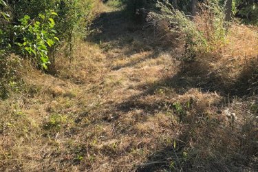 Vác- Felső Török-hegyen, a Naszály hegyre néző csodálatos panorámával kínálok eladásra belterületi építési telket!

Vác dinamikusan fejlődő részén, a Felső Török hegyi útról nyíló Törökfürdő közben, megvételre kínálok egy 1314 m2-es panorámás, kivett belterületi építési telket. A beépítetlen telek, Vác panorámás részen helyezkedik el, családi házas övezetben. M2 autóút pás perc alatt, könnyedén elérhető!
A telek szélessége 20 méter, hossza 66 méter. Megközelítése magán úton érhető el.
A telek jelenlegi állapota bokros, bozótos, helyenként gyümölcsfákkal ültetett. Megvásárlás esetén a vevő dolga a telek kitisztítása, ezért az ára nyomott.
A telken víz közmű megtalálható, közelből a villany is lecsatlakoztatható.

- Övezeti besorolása Lk-e-1 kert városias besorolású
- Beépítési módja: szabadon álló
- Maximális beépíthetősége: 15 %
- Maximális beépíthetősége terepszint alatt: 20 %
- (szintterület mutató: 0. 4 %)
- Minimális zöldterület 75 % 
- Építmény magasság: minimum 3 méter, maximum 5 méter.

A telek per-, teher és igénymentes, aszfaltozott útról közelíthető meg.
Autóval pár percen belül elérhető bolt, bölcsőde, óvoda, iskola. 
Az utca végén lévő buszmegállóból pár perc alatt elérhető Vác belvárosa és a vasútállomás is. Az M2 autóúton Budapest az M2 autóúton kb. 26 perc alatt elérhető.
A telek remek áron megvásárolható.

Ár: 22. 900. 000.-Ft

Tel: +36705581160,  06304800339

További információért és a megtekintéssel kapcsolatban, várom megtisztelő hívását!
Amiben még segíteni tudok:
- ha a vásárláshoz még el kell adnia ingatlanát
- energetikai tanúsítvány készítése 72 órán belül
- ingyenes hitelügyintézés
- jogi háttér
- földhivatali ügyintézés
- ajánlatok küldése e-mailben országos adatbázisból.
Tel: 06705581160 , 06304800339