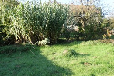 Kisnémedi csendes utcájában, eladó egy nettó 81 m2-es, 3 és fél szobás családi ház!

ÁRZUHANÁS!!!

Váctól 17 km-re Kisnémediben a festői szépségű Pest megyei településen, a központ közelében 1300 m2-es belterületi telken, nettó 81 m2 hasznos alapterületű, erősen felújításra szoruló, 3 és fél szobás családi kertes házzal eladó!
Az ingatlan betonúton megközelíthető 5-7 perc sétatávolságra a központtól.
Az ingatlanban egy szoba kivételével a teljes villanyhálózat át lett húzva.
Fűtése gáz konvektorokkal megoldott. Az ablakok nagy része műanyag nyílászárókra lett cserélve.
Az utcafronti egyik szoba még nem lett felújítva, erősen felújításra szorul.
A házhoz tartozó hatalmas beépített teraszból (18-20 m2) egy gyönyörű nappali könnyű szerrel kialakítható.
Parkolási lehetőség önálló, saját kb. 16 m2-es garázsban lehetséges. A locsoláshoz ásott kút áll rendelkezésre a kertben.
A ház mögött egy hatalmas fedett terasznak kialakítható terület van.

Megvásárlását követően azonnal birtokba vehető és elkezdhetik a ház renoválást, ez már a Vevő dolga lesz.!

Környék: Az ellátottsága nagyon jó, hiszen a közelben megtalálunk mindent, amire a mindennapi életben szükség van pl. posta, orvosi, gyermekorvosi rendelő, patika, kifőzde, pizzéria, ABC.

Adott esetben gyermekeinknek sem kell nagy távolságot megtenni, hogy megfelelő képzésben részesüljenek, kerékpárral, gyalog pár perc (óvoda, iskola, bölcsőde a közelben)!
Sportolási lehetőségekkel (2 focipálya, street workout park)
Továbbá, játszótér, rendezvény központ, könyvtár, falumúzeum, 10 percre Őrbottyáni termelői piac, 20 percre veresegyházi piac, Vác 20 percre.

Az ingatlan csendes, nyugodt vidéki életre vágyóknak kiváló lehetőséget nyújt, ajánlható állandó lakhatásra vagy üdülési célokra!

A közvilágítás számára esztétikus fém kandelábereket helyeztek el.
Az utca aszfaltburkolatát felszedték, helyette az utat és a járdákat térkő burkolattal látták el, a település többi utcájához hasonlóan.
A remek közbiztonságnak örvendő település dinamikusan fejlődik, a közterületei térkövezettek, az intézményeit, szolgáltató épületeit, parkjait gyönyörűen karbantartják, felújítják.
Az autóbusz közlekedés Vác és Budapest felé is megfelelően szervezett.

Kisnémedi a fővárostól 40 kilométerre északkeletre terül el, a Cserhátalja és a Gödöllői-dombság találkozásánál.

Nevezetességei: Gosztonyi kúria, Római katolikus templom, Tájház.

Irányára: 34. 900. 000.- Ft

CSOK nem vehető fel.

További információért és a megtekintéssel kapcsolatban, várom megtisztelő hívását!

Amiben még segíteni tudok:
- ha a vásárláshoz még el kell adnia ingatlanát
- energetikai tanúsítvány készítése 72 órán belül
- ingyenes hitelügyintézés
- jogi háttér
- földhivatali ügyintézés
- értékbecslés, piaci ármeghatározás
- költöztetés, lomtalanítás
- ajánlatok küldése e-mailben országos adatbázisból.

Tel: +36705581160