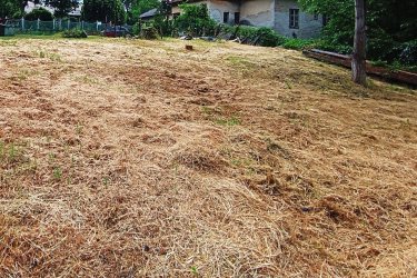 Befektetésnek is kiváló belterületi építési telek eladó Sződligeten.

Pest vármegye élhető és hangulatos településén, Sződliget egyik legkedveltebb utcájában, központi elhelyezkedéssel, a fontosabb helyi intézményektől pár perces sétára kínáljuk eladásra, ezt a rengeteg lehetőséget rejtő, egyéni kialakításoknak is teret adó 514 m2-es Lk-1-es belterületi építési telket.
Az utca is egyike azoknak, melyek a Duna-közeli nyaralóhely hangulatát megőrizték épületeikkel.

A telek alakja szabályos négyszög, felszíne sík, részlegesen bekerített. Beépítési mód: oldalhatáros.

Legnagyobb építménymagasság: 5. 5 m
Legnagyobb beépíthetőség: 30%
Közművei víz, gáz, villany és csatorna.

A településen minden megtalálható, ami a mindennapi élet kényelméhez szükséges, iskola, óvoda, bölcsőde, patika, orvosi rendelő, fogorvos, üzletek, szolgáltatások, kitűnő vonat- és buszközlekedés, hajókikötő, étterem, benzinkút és edzőterem.
Ne maradjon le erről ritka lehetőségről, ahol álmai házát megépítheti.

A telek akciós ára: 37. 900. 000.-Ft ÁRZUHANÁS!!!

Közvetlen az ingatlan mellett található 812 m2-es telken, 150 m2-es, 4 szobás bővítés, felújítás és építés alatti családi ház is eladásra kerül.

Akciós ár: 54. 900. 000.- Ft ÁRZUHANÁS!!!

A telek és a családi ház együttes

Akciós ára: 91. 900. 000.-Ft

Tel: 06705581160, 06304800339