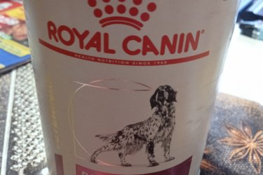 Royal Canin Renal 