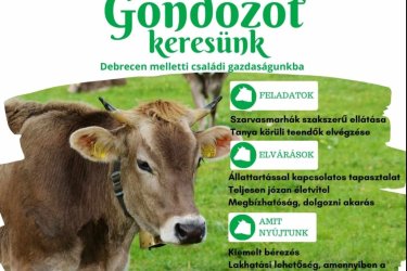 Gondozó kollegát keresünk