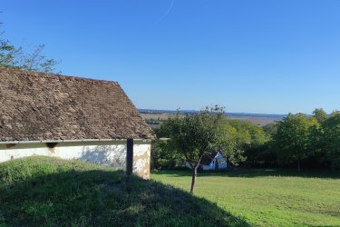 Az ingatlan kb. 9600 M2, több helyrajzi számon van, részben művelési ágból kivonva.
Két présház található a területen melyek közül az egyik nagy alapterületű, mely felújítandó állapotú vagy akár teljesen újjá építhető, így teljes értékű lakóházzá alakítható. Pince van mindkét épülethez.
Az ingatlan rendben tartott, részben szőlővel beültetett, villanypásztorral védett a vadkár ellen. Van ásott, jó vizű kút, diófák, erdő, kaszáló, szőlő. Görögszói területhez tartozik.
Szép magánbirtok alakítható ki belőle, neves pincészetek közelében. ( Takler, Fritz,stb.)
Betonozott úton megközelíthető.
Ára: 79 M. forint
Elektromos hajó beszámítható.

Térkép