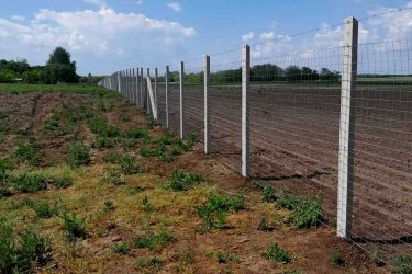 Biztonságos és tartós kerítést keres? Akkor megtalálta!
Vállalunk az ország egész területén vadhálóval, vagy dróthálóval komplett kerítésépítést 2399 Ft/m áron.
Ez az ár tartalmazza az összes anyagot és a munkadíjat is!

Kérjen ajánlatot most:
+36--30 354 17 07
+36--30 710 08 30
+36--30 325 82 00
Ajánlatkérés e-mailben: keritesnagyker@gmail.com

Nálunk mindent megtalál, ami a kerítés építéshez szükséges! Látogasson el honlapunkra a www.kotaji-kerites.hu oldalra vagy telephelyeinkre.
